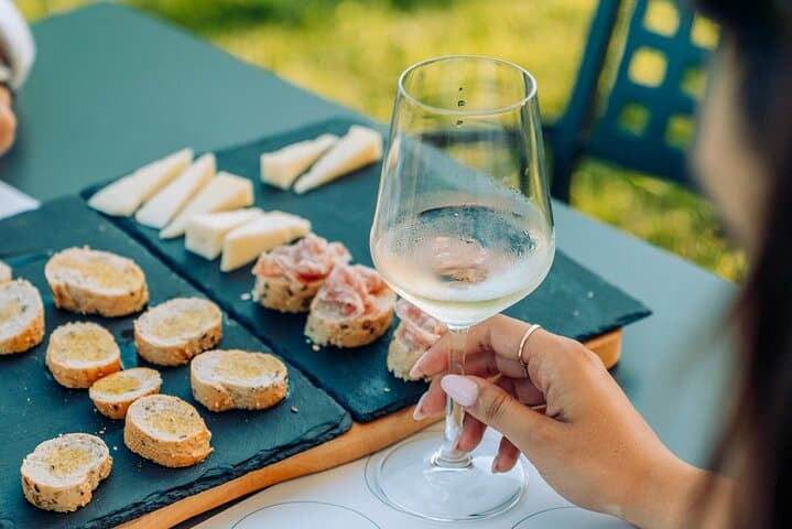 Wine and Food Tasting in the Vineyards in Lazise