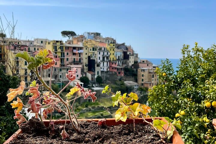 Corniglia