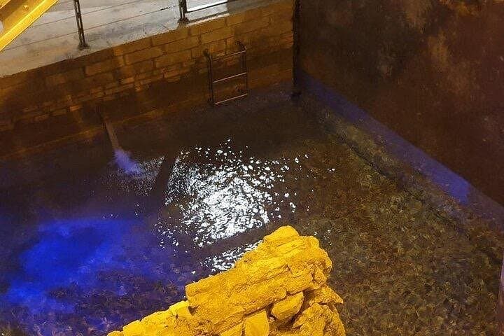 Trevi Fountain with Underground Aqueducts Guided Tour