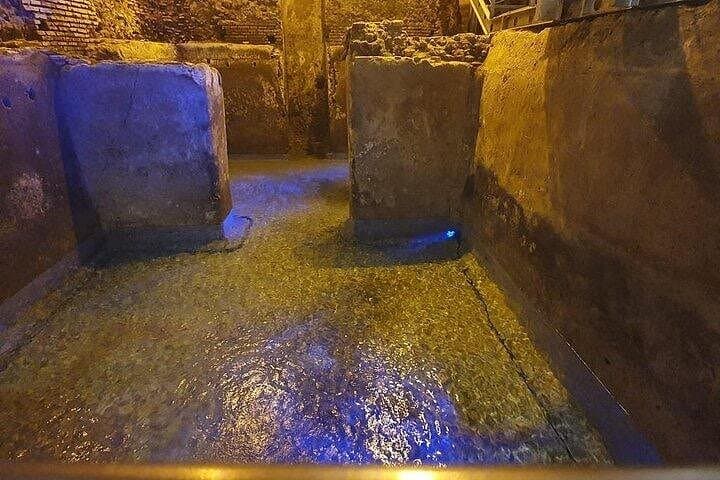 Trevi Fountain with Underground Aqueducts Guided Tour