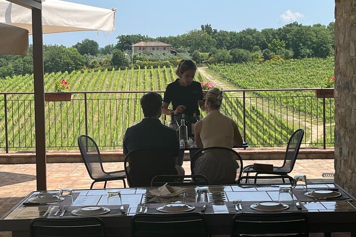 Private Chianti Classico Wine Tour 8 hours from Florence
