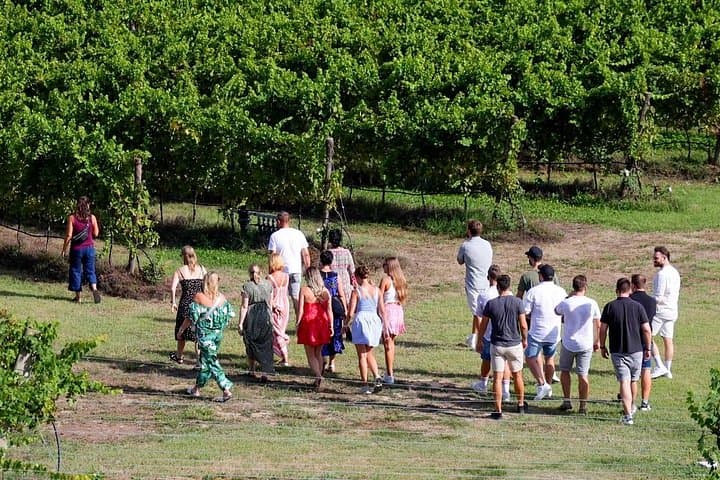 Winery Tour and Tasting of Garda Wines in Lazise