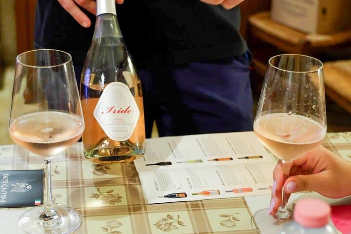 Winery Tour and Tasting of Garda Wines in Lazise