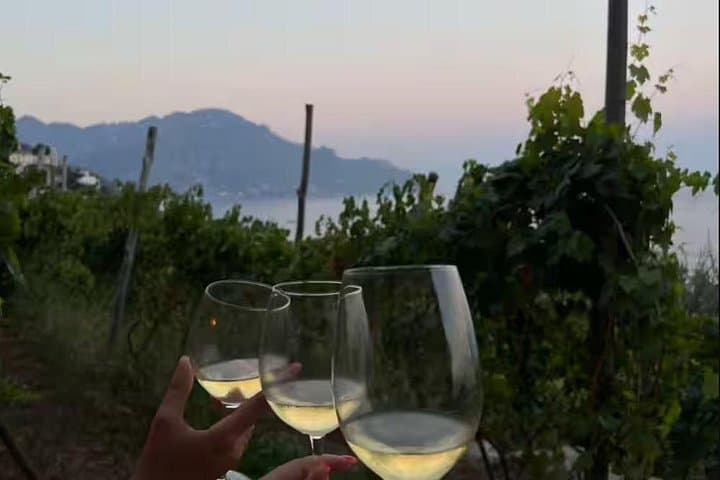 Hands-On Amalfi Coast Cooking Class