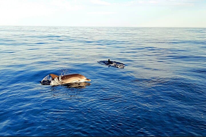 Full Day Cruise in Taormina with Snorkeling & Aperitif