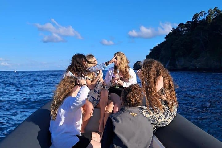 Portofino San Fruttuoso and Camogli One Day Boat Tour