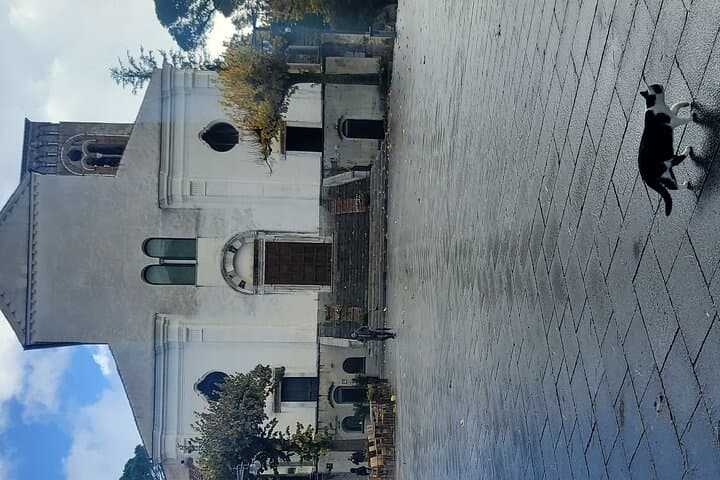 Ravello : Private Transfer from Naples visit Pompeii