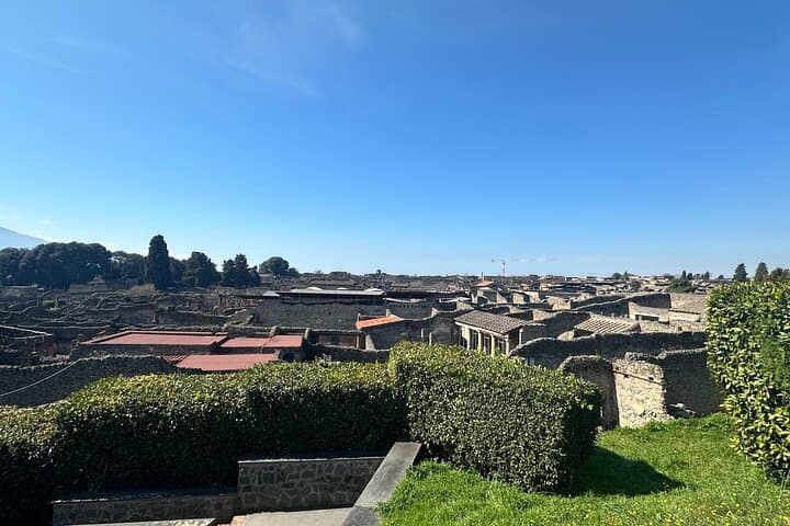 Pompeii Vesuvius and Wine tasting from Sorrento