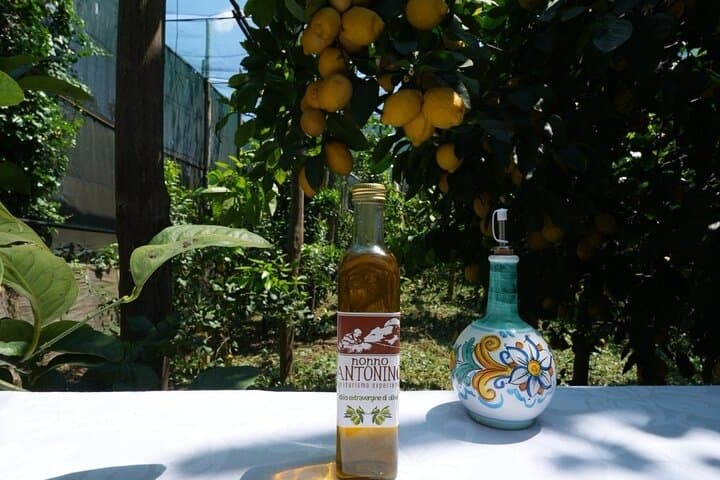 Farm Tour in Sorrento: Olive Oil, Lemons & Mozzarella Tasting