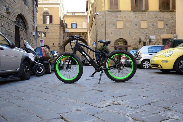 Florence: Guided E-Bike Tour to Piazzale Michelangelo