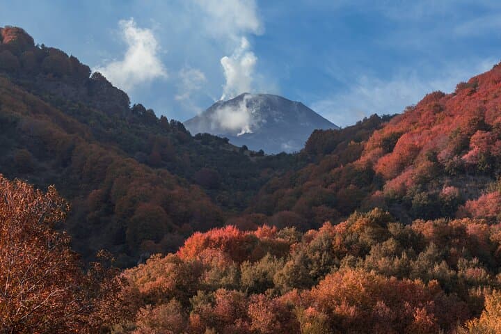 Etna tour with lunch and glass of wine from Syracuse