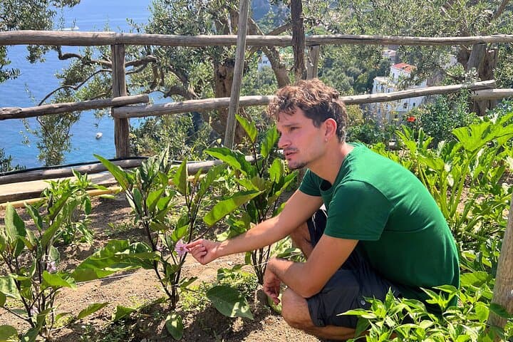 Hands-On Pizza Making Class & Farmhouse visit on the Amalfi Coast