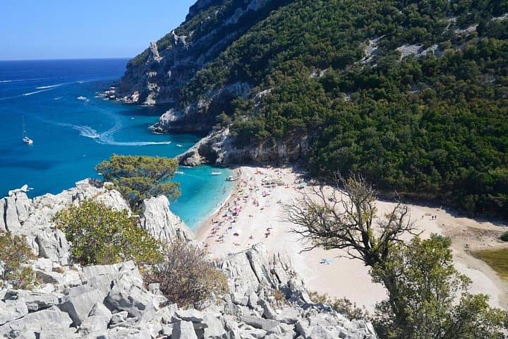 Cala Gonone Tour in the Gulf of Orosei