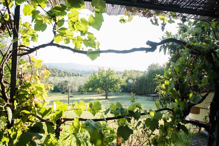 Dining Experience in a 13th-Century Monastery in Florence
