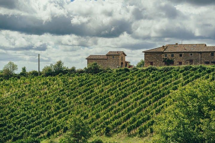 Chianti Wine Tour for Small Groups: 3 Family Wineries & Lunch
