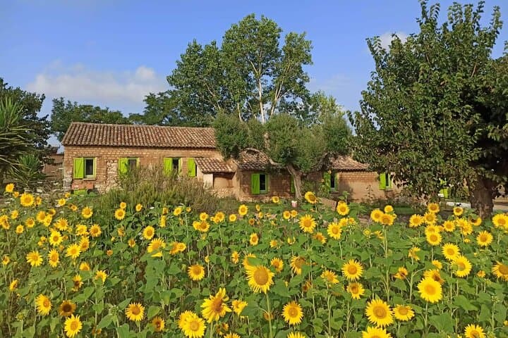 Roots and Flavours Cooking School between Tradition and Sustainability