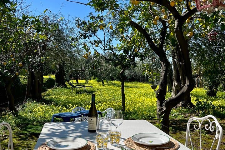 Lunch under lemons