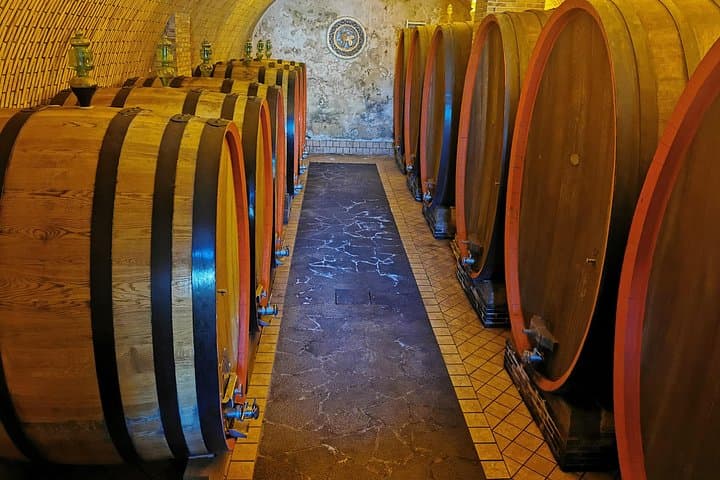 2 Mt Etna Wineries Experience from Taormina
