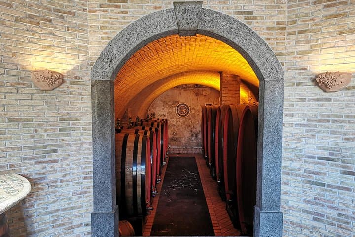 2 Mt Etna Wineries Experience from Taormina