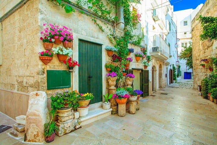 Private transfer from Naples to Bari with 2h for sightseeing stop