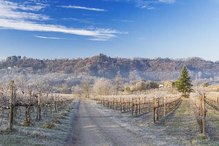 Tour and tasting in the hills of Prosecco Superiore DOCG
