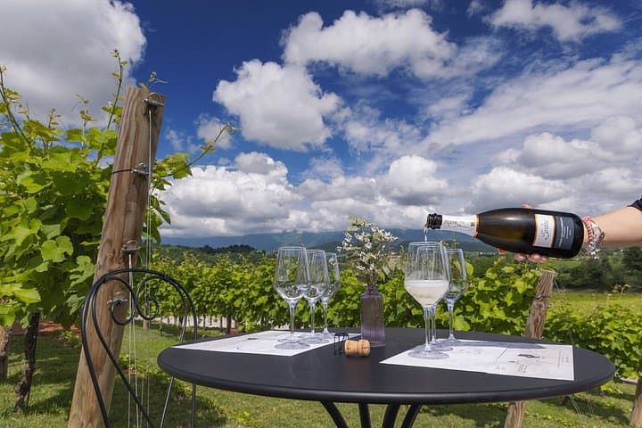 Tour and tasting in the hills of Prosecco Superiore DOCG