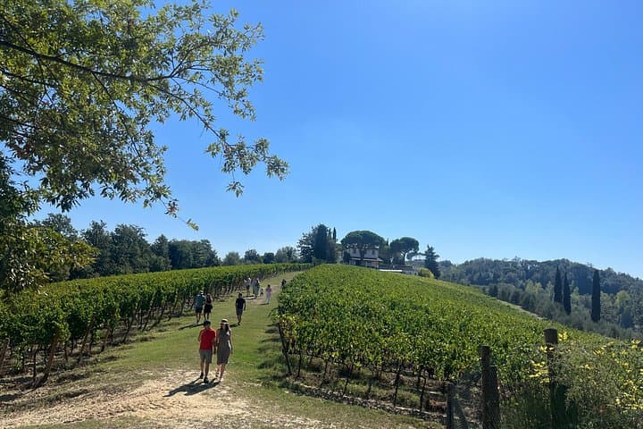 Farm To table Experience on an organic hilltop estate in Tuscany