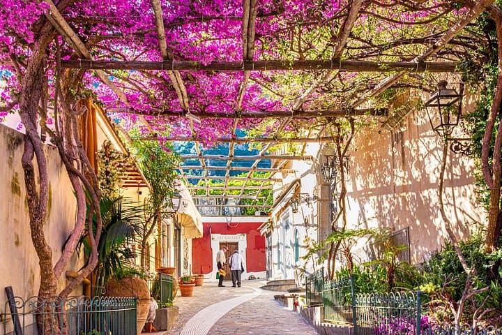 Private transfer: Naples to Positano, 2h in Vesuvius or Pompeii