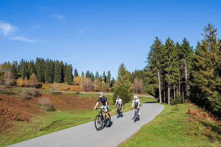 Lake Como Panoramic E-Bike Tour
