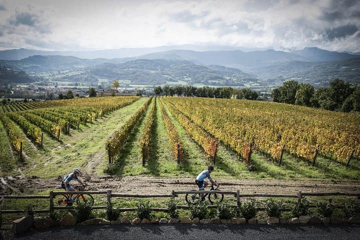 Tuscany Multi Day Bike Tour History Wine and Local Flavors