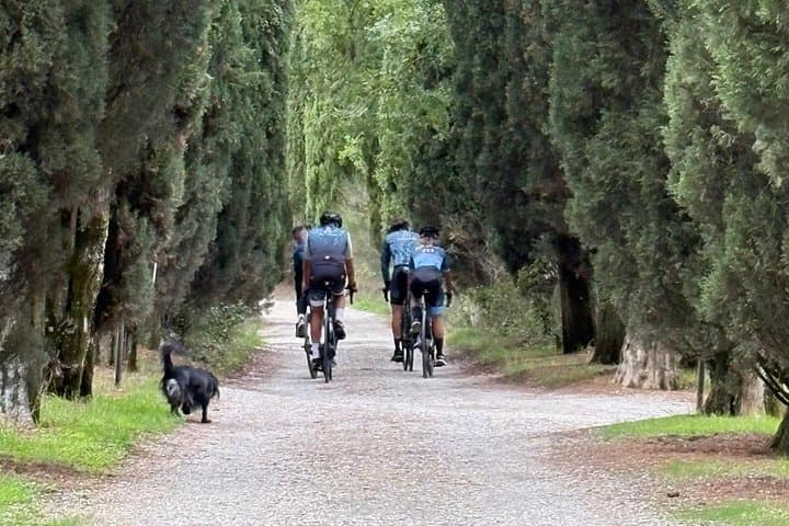 Tuscany Multi Day Bike Tour History Wine and Local Flavors