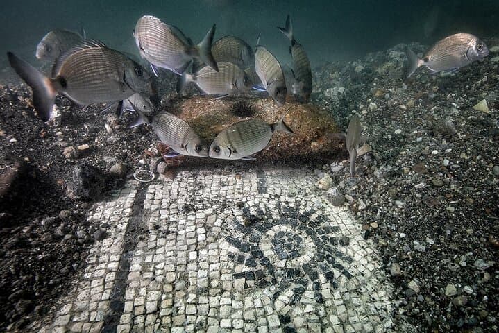 Black and white mosaic of the Villa in Protiro depicting a sea urchin