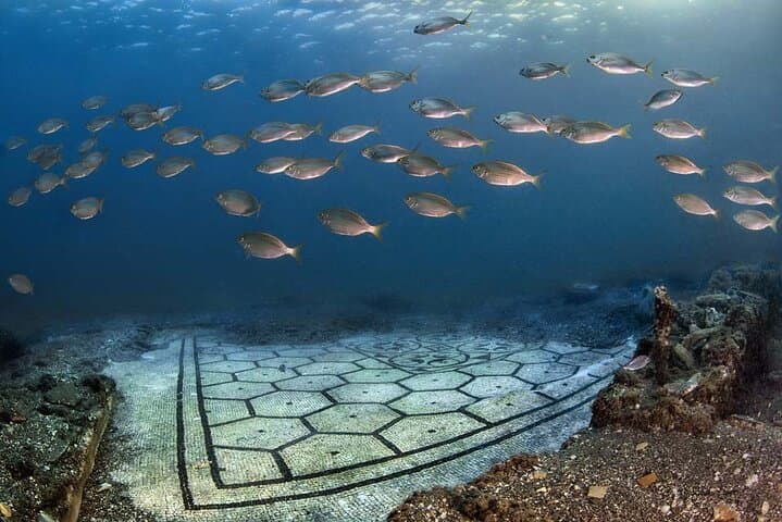 School of fish above the black and white mosaic of Villa a Protiro