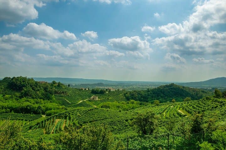 Luxury Prosecco Wine Tasting Full-Day Private Tour from Venice