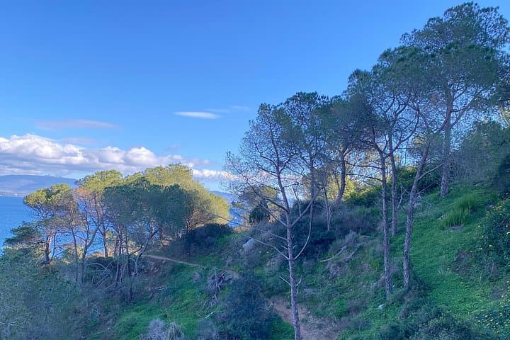 Rental with delivery of city and mountain bikes Cagliari/Quartu