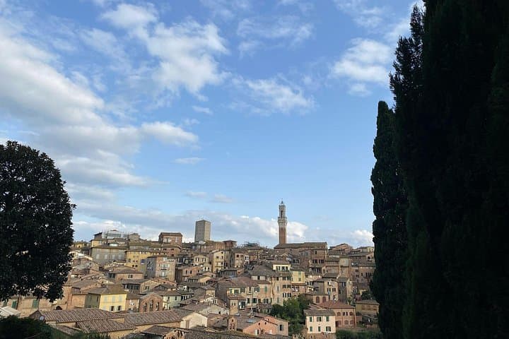 Florence: Day Trip with Free Time in San Gimignano and Siena