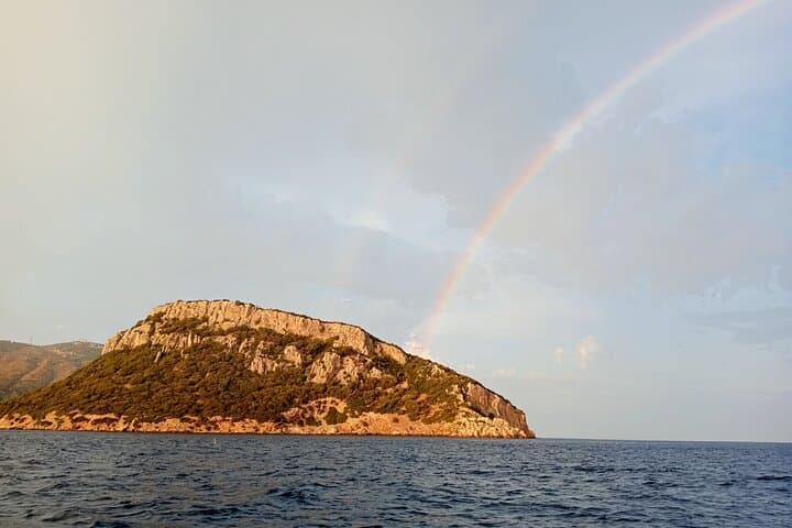 Dolphin spotting in the Gulf of Olbia