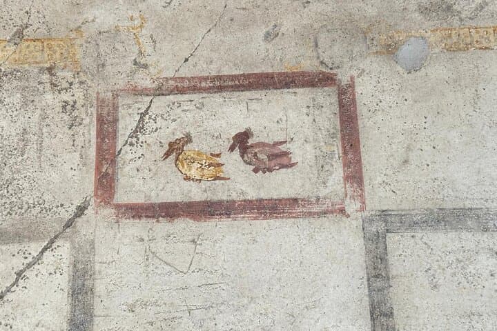 Pompeii Vesuvius and Wine tasting from Sorrento