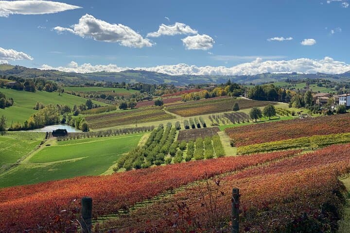 Wine and Balsamic Vinegar Tour with Tasting