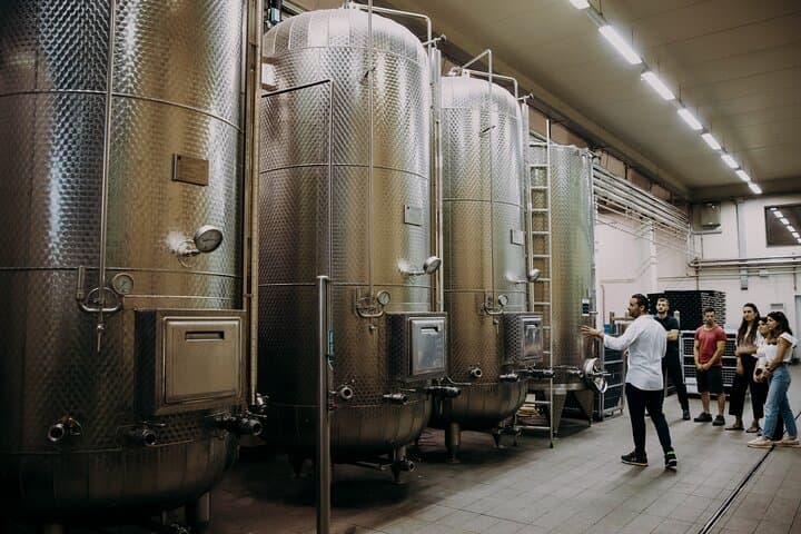 Wine and Balsamic Vinegar Tour with Tasting