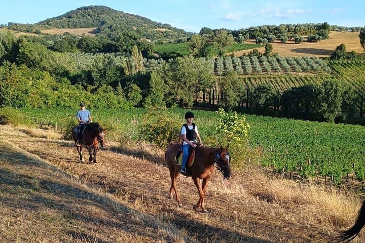 Horseback riding through the vineyards in Montepulciano Tuscany