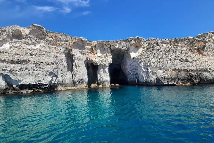 Ortigia-blue cave island tour with dolphin sighting