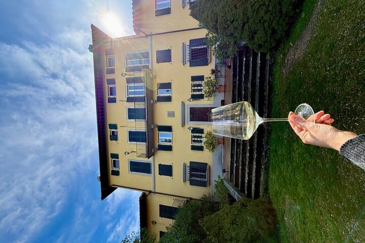 the manor house