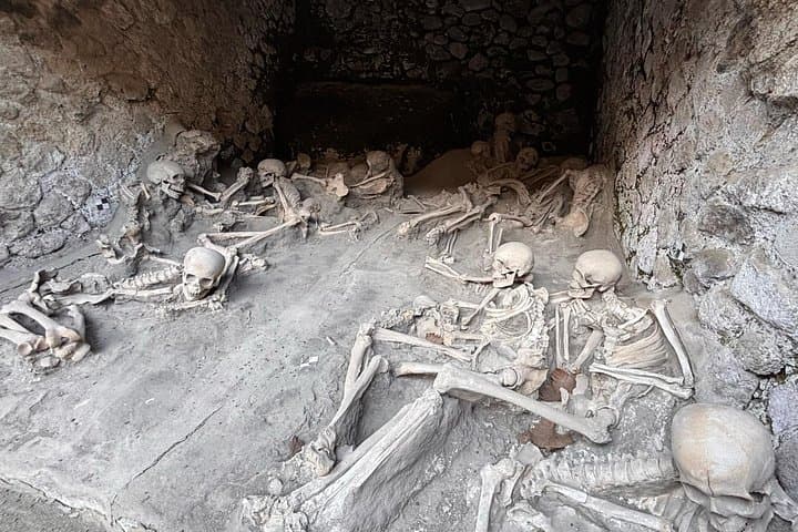 Early bird Herculaneum Tour Beat the Heat