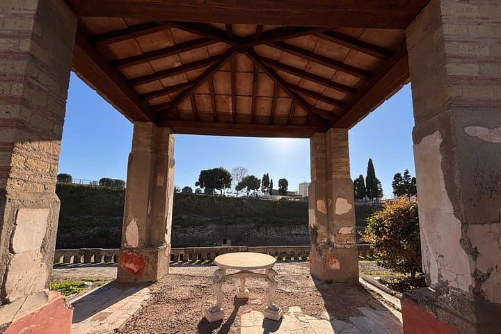 Early bird Herculaneum Tour Beat the Heat
