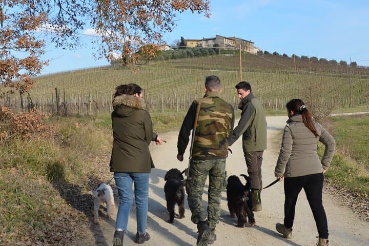 Search truffle lunch with tasting in Castellina in Chianti