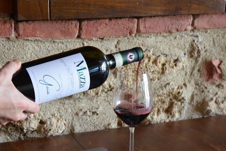 Search truffle lunch with tasting in Castellina in Chianti