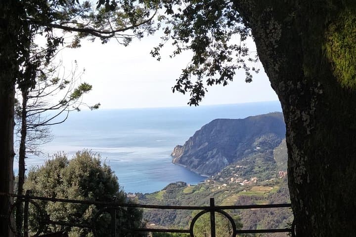 Wine trail by e-bike + aperitif on a farm