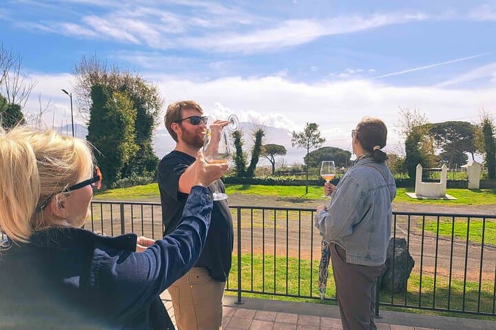 Private Herculaneum Tour – Top Experience with Local Guide