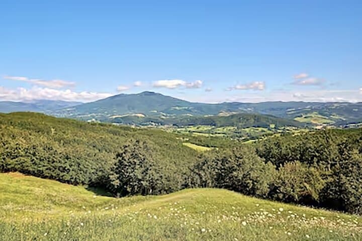 Cinque Terre & Parma Tour with Hotel, E-Bike & Food Experience
